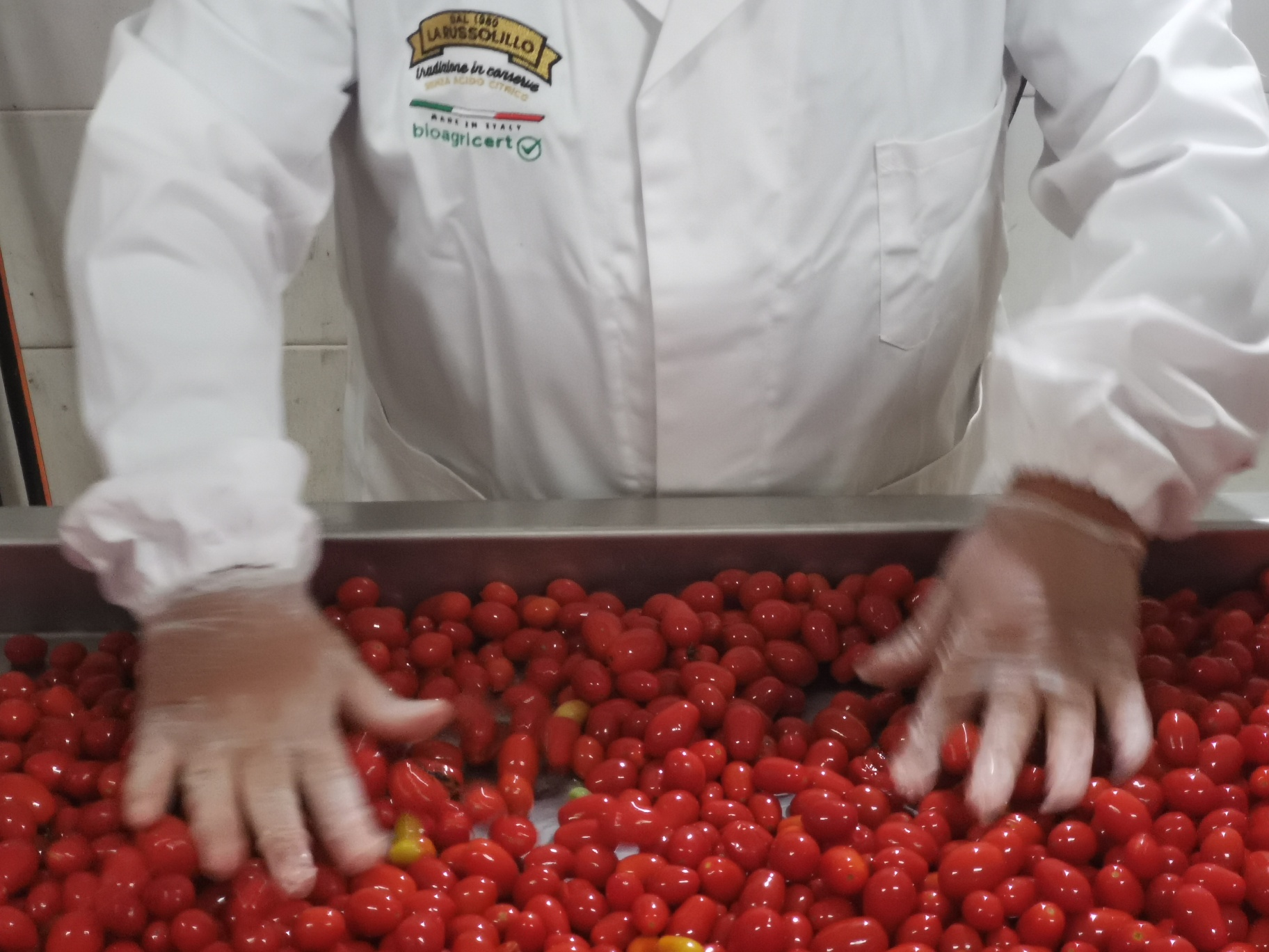 Russolillo Brand Image6